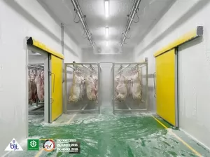 Opsi Cold Storage Chiller-Freezer untuk Bisnis